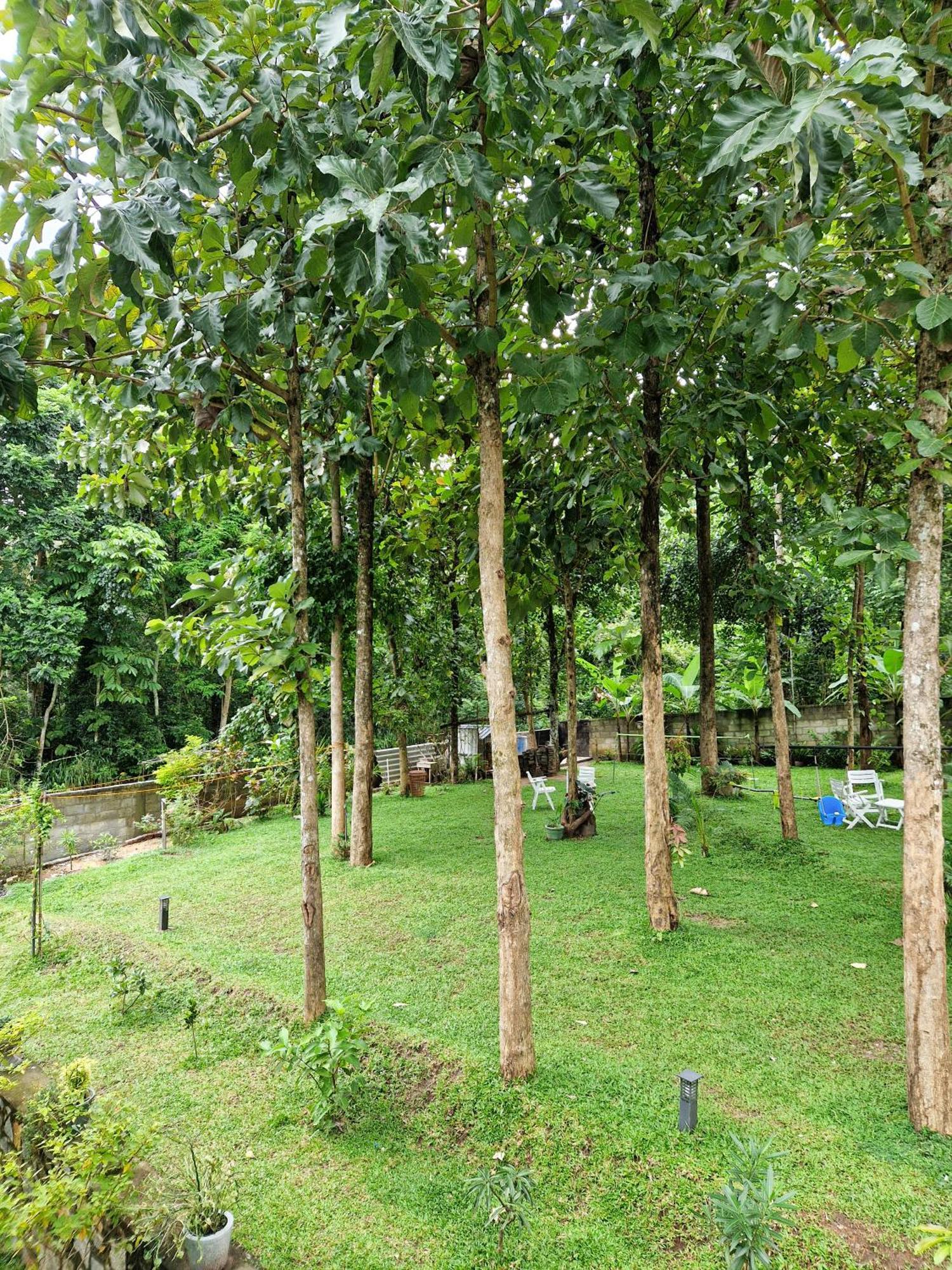 Villa Sole Kandy Dış mekan fotoğraf