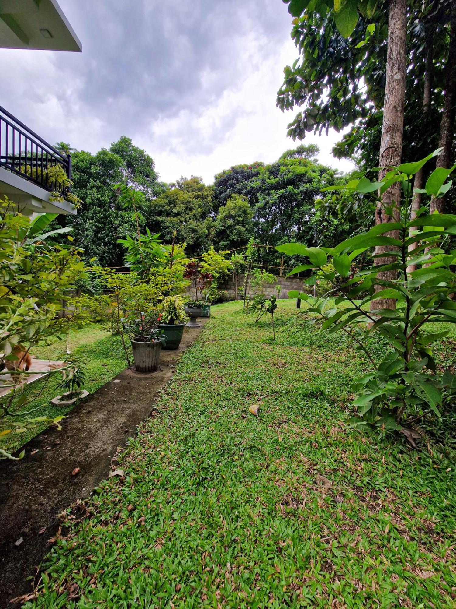 Villa Sole Kandy Dış mekan fotoğraf