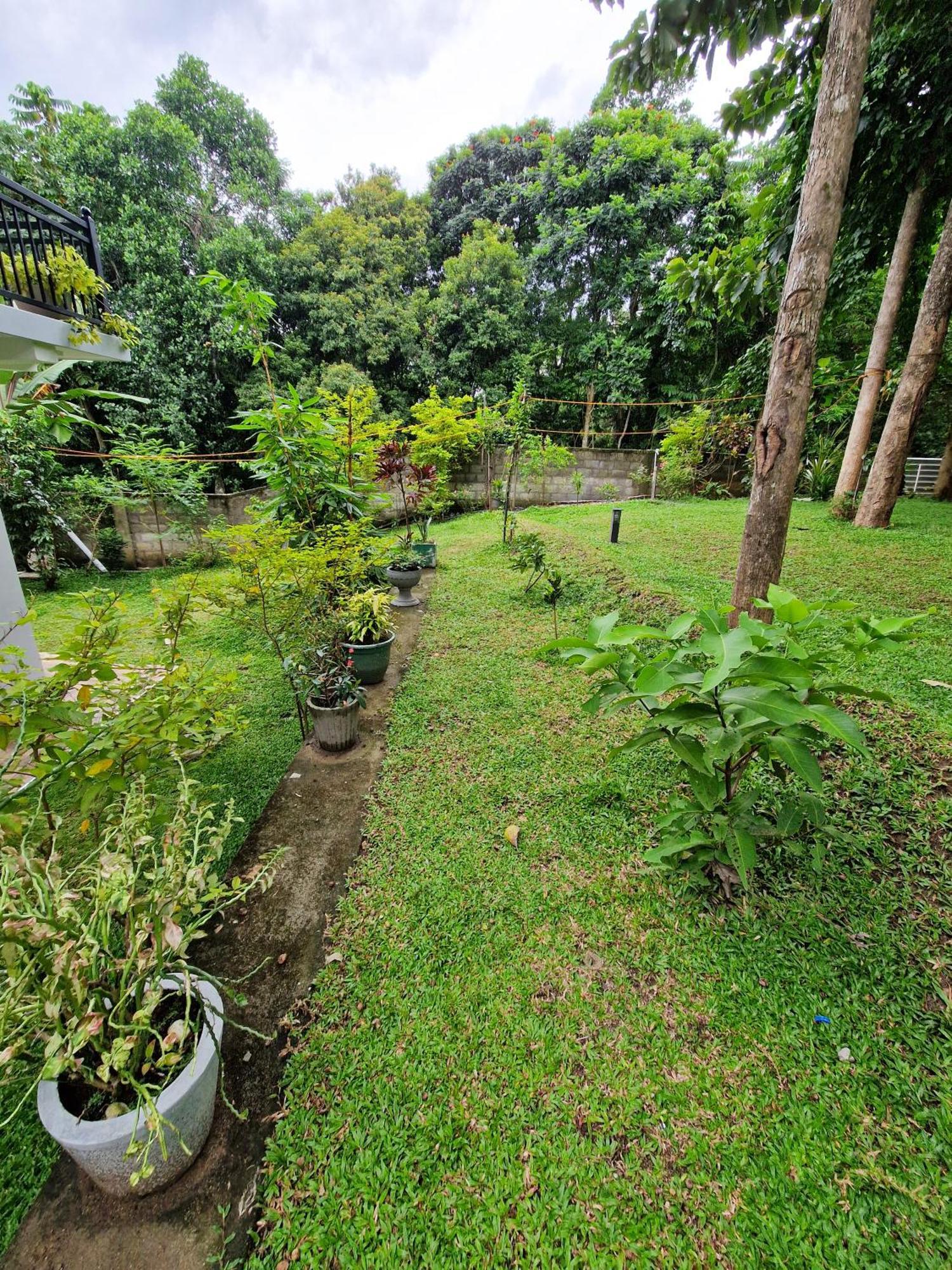 Villa Sole Kandy Dış mekan fotoğraf